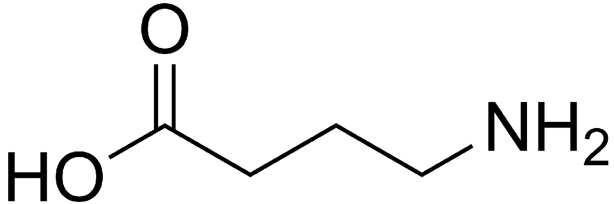GABA γ-Aminobutyric acid